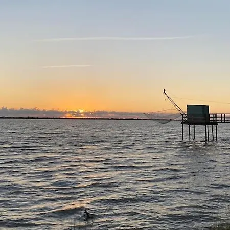 Hébergement de vacances Le 31 Bis, En Centre Avec Jardin.