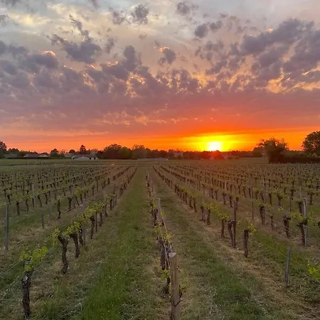 Le 31 Bis, En Centre Avec Jardin.